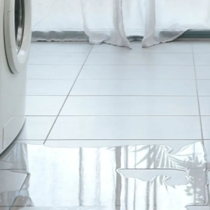 Appliance Leak Cleanup in Wyoming, IL