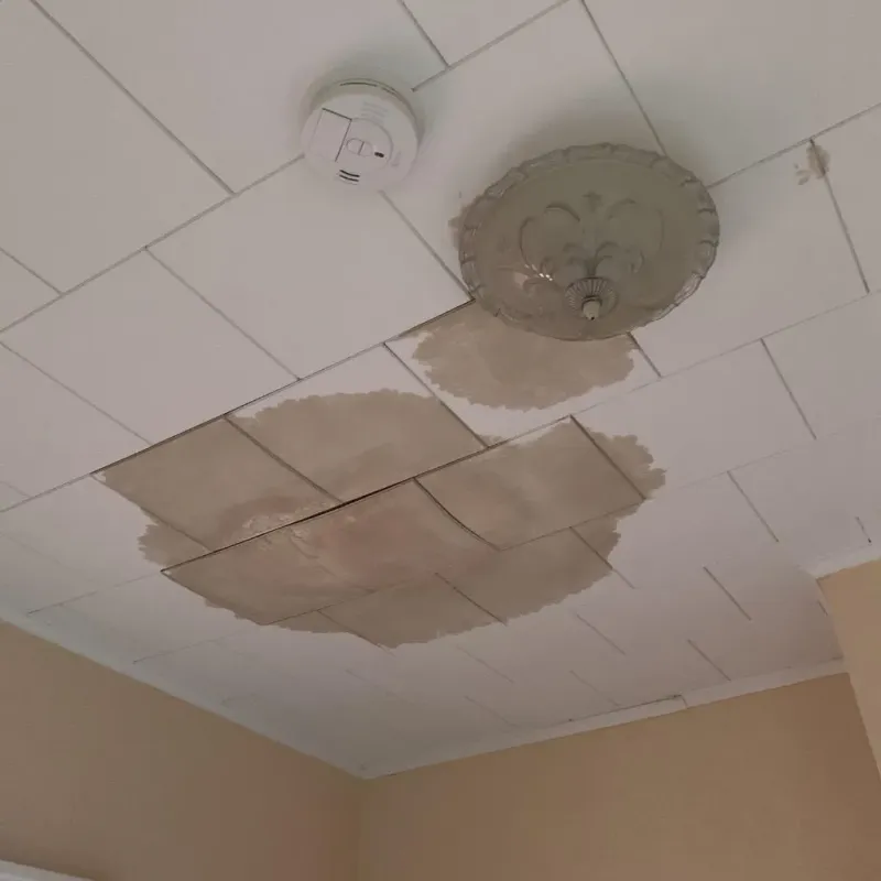 Ceiling Water Damage Repair in Wyoming, IL