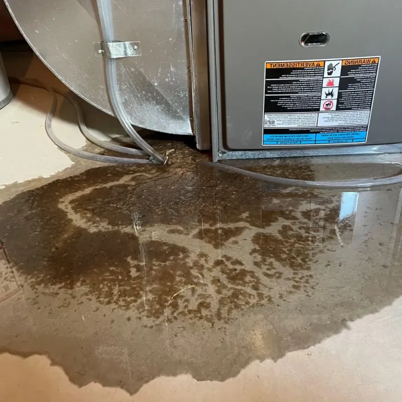 Pipe Burst and Leak Restoration in Wyoming, IL