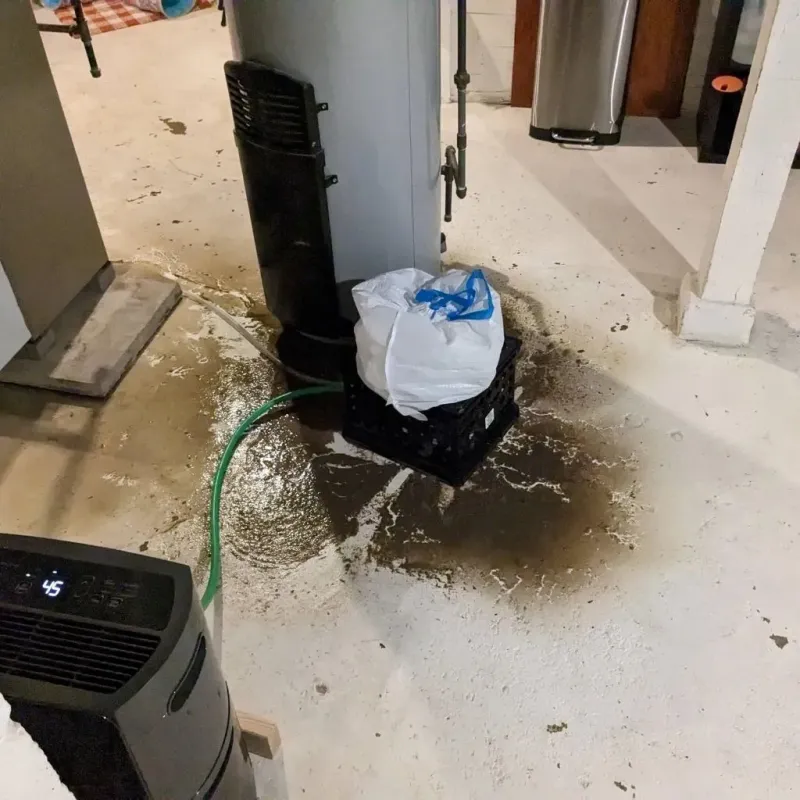Sewage Backup Cleanup Service in Wyoming, IL
